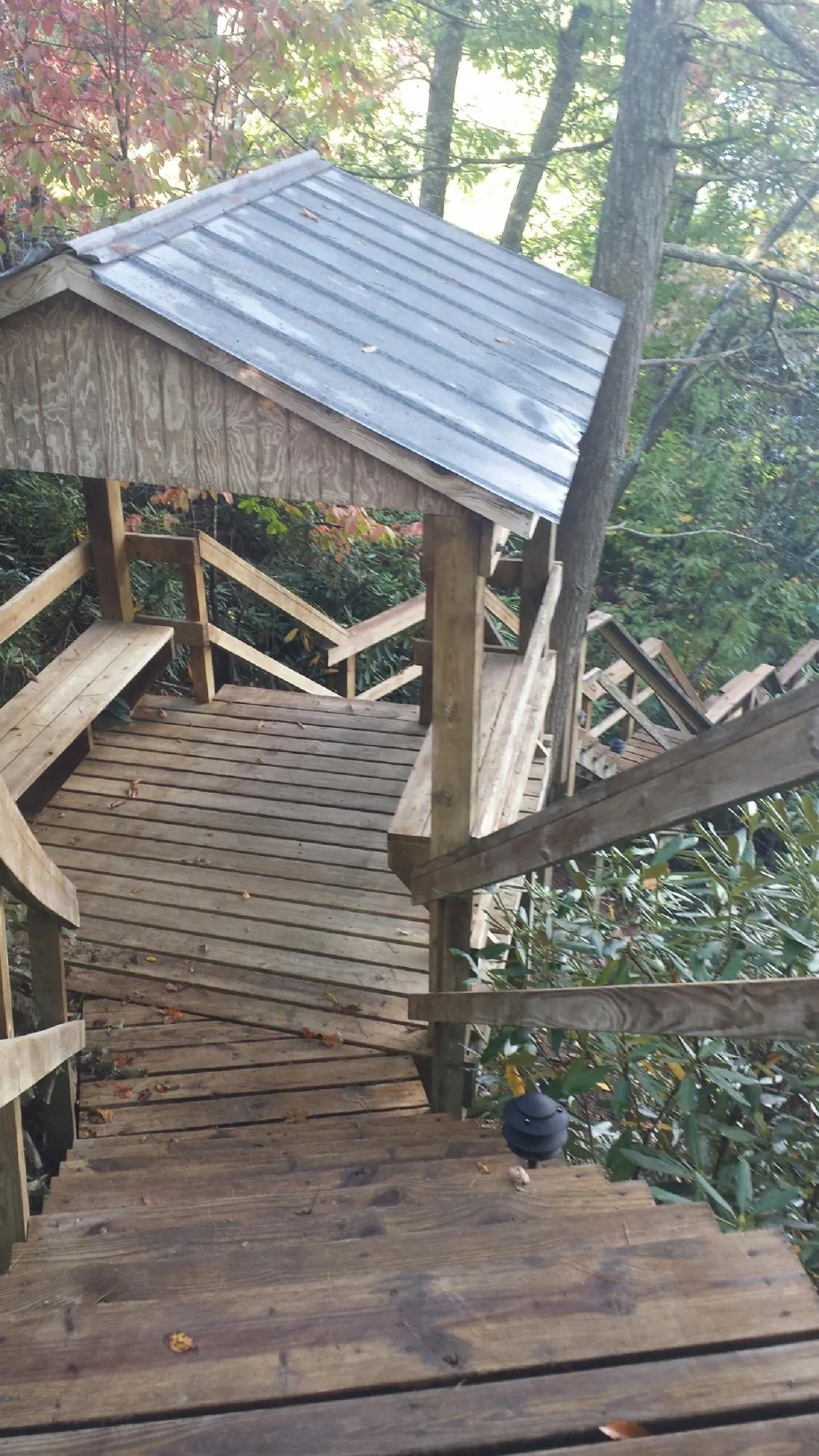 Metal roofed shelter over wooden steps on a wooded walkway — Skylight Repair & Installation work by our crew in Pink Hill